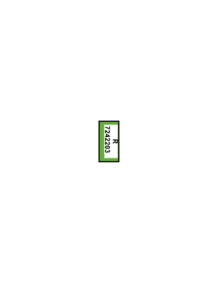 ERIMA Trinkflasche Team green