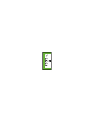 ERIMA SENZOR-STAR Pro fern green/smaragd/silver grey