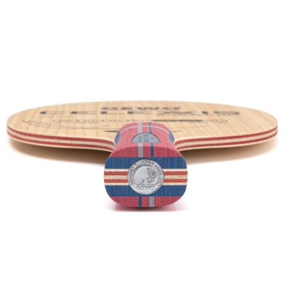 GEWO Holz Celexxis Offensive Classic