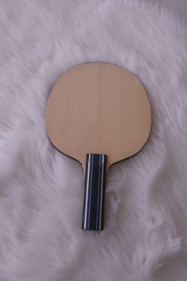 Butz Blades Holz DEFENSOR KOMBI