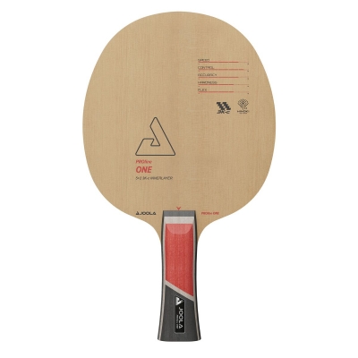 JOOLA Holz PROline ONE