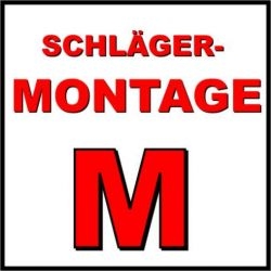 SCHLÄGERMONTAGE UND HOLZVERSIEGELUNG