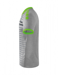 ERIMA Ferrara 2.0 Trikot grau melange/green gecko
