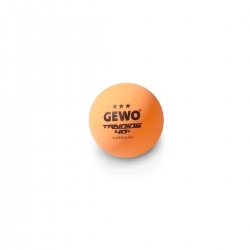 GEWO Trainingsball ***40+ 24er