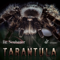 Dr. Neubauer Belag Tarantula (Anti) Sonderposten