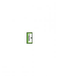 ERIMA SENZOR-STAR Pro fern green/smaragd/silver grey