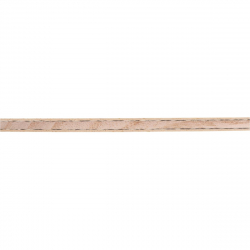 Donic Holz Dotec True Carbon Inner