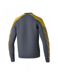 ERIMA EVO STAR Sweatshirt slate grey/gelb