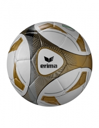 ERIMA ERIMA Hybrid Training weiß/gold