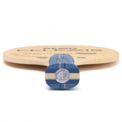 GEWO Holz Celexxis Hinoki Ex-Carbon OFF